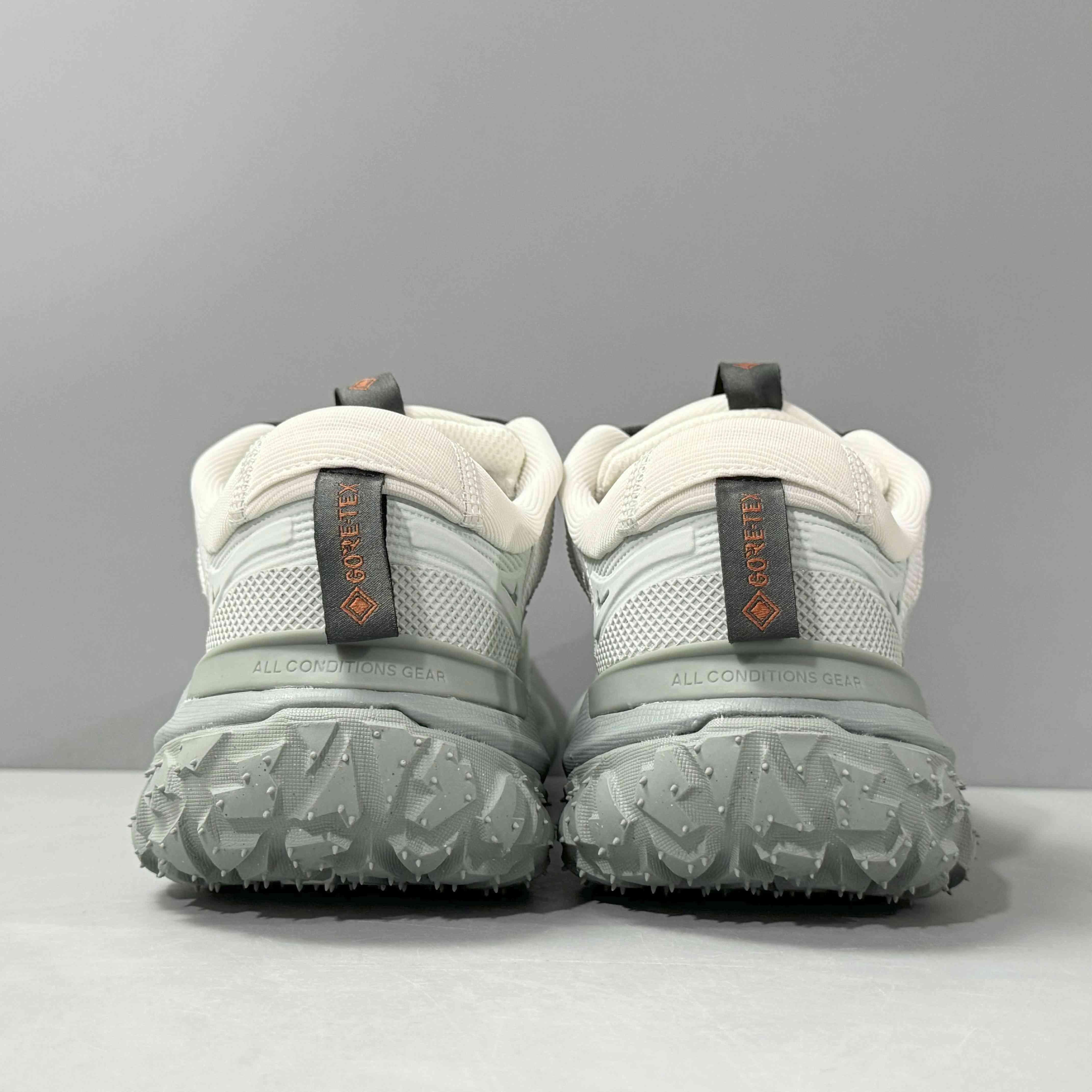 Nike ACG Mountain Fly 2 Low Gore-Tex 'Phantom Light Silver'
