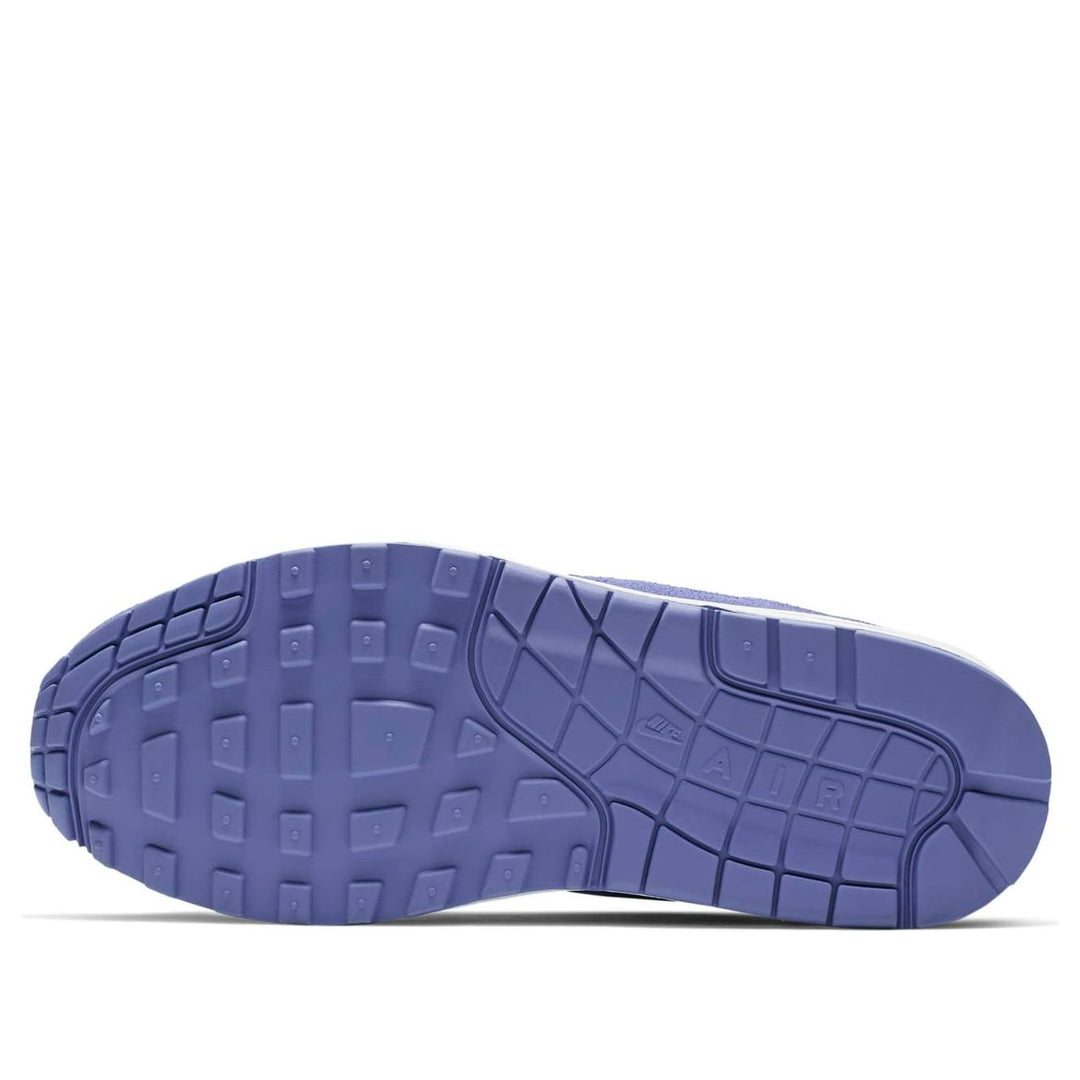 (WMNS) Nike Air Max 1 Premium 'Purple Suede' 454746-502