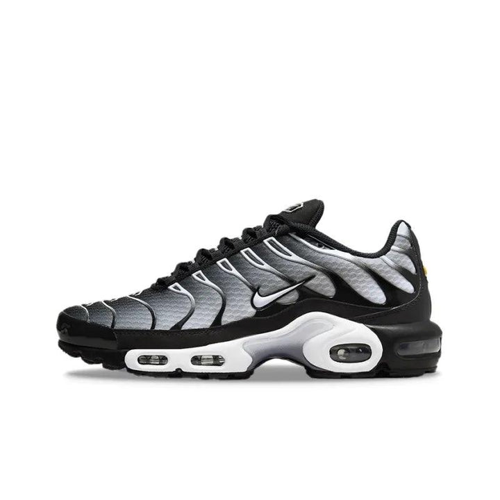 Nike Air Max Plus 'Black Silver White'