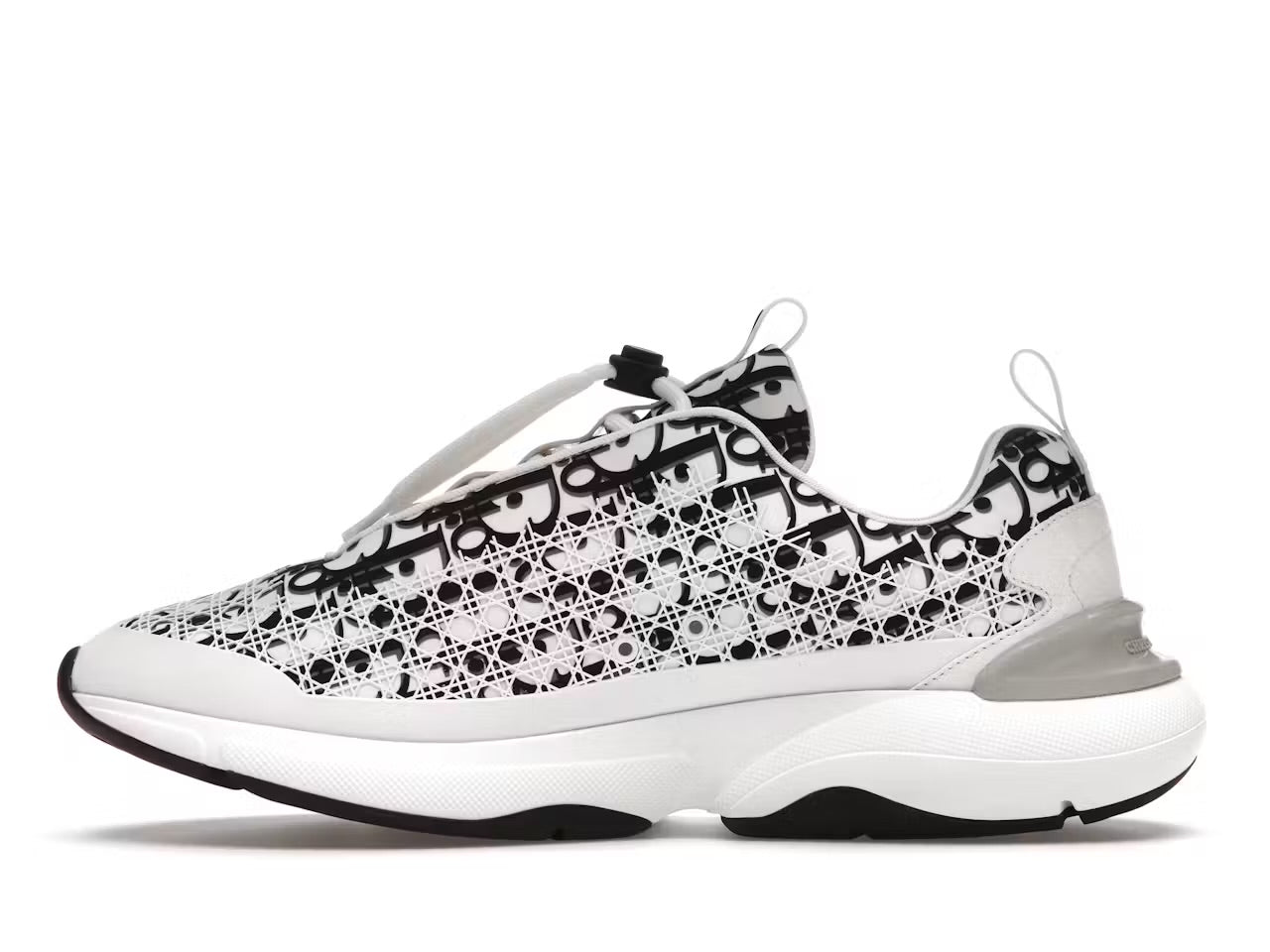 Dior B24 Oblique