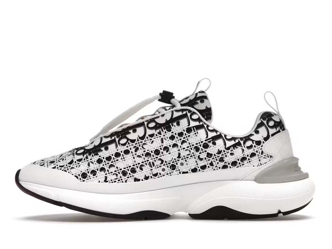 Dior B24 Oblique