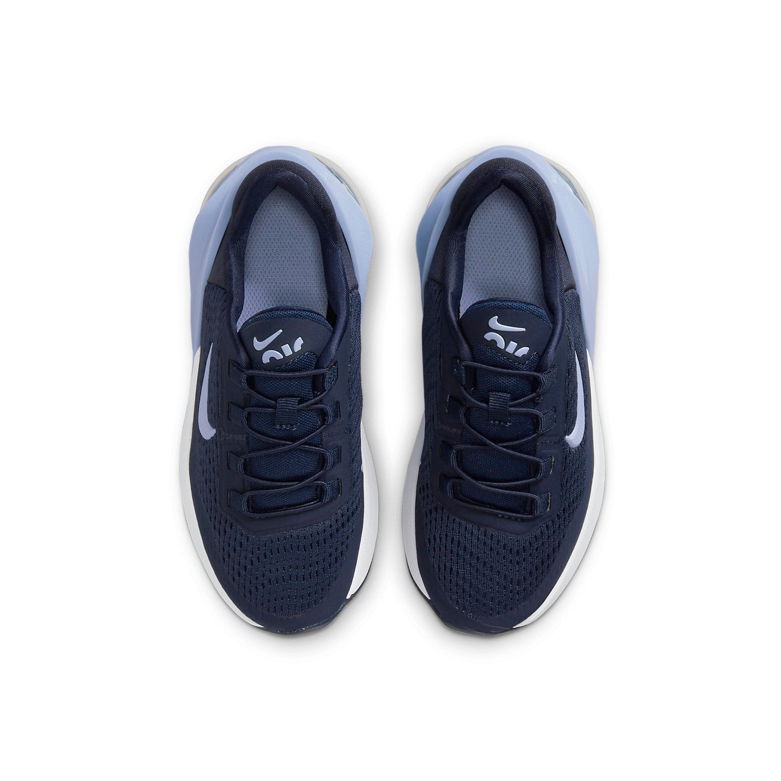 (PS) Nike Air Max 270 GO 'Obsidian Cobalt Bliss' DV1969-400