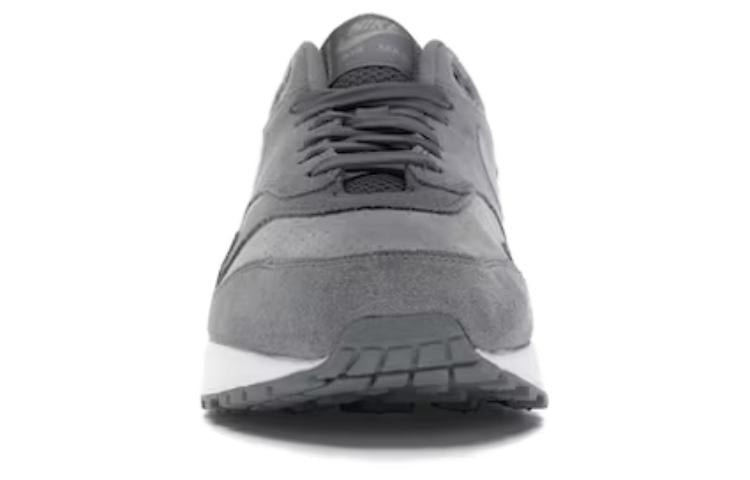 Nike Air Max 1 'Cool Grey Wolf Grey' 875844-005