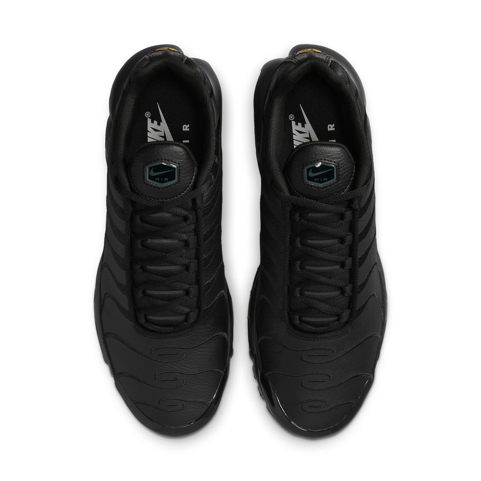 Nike Air Max Plus TN 'Triple Black' AJ2029-001