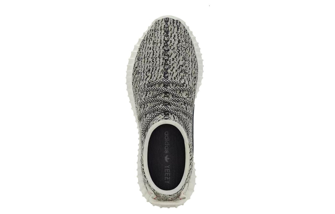 Yeezy Boost 350 'Turtle Dove' AQ4832