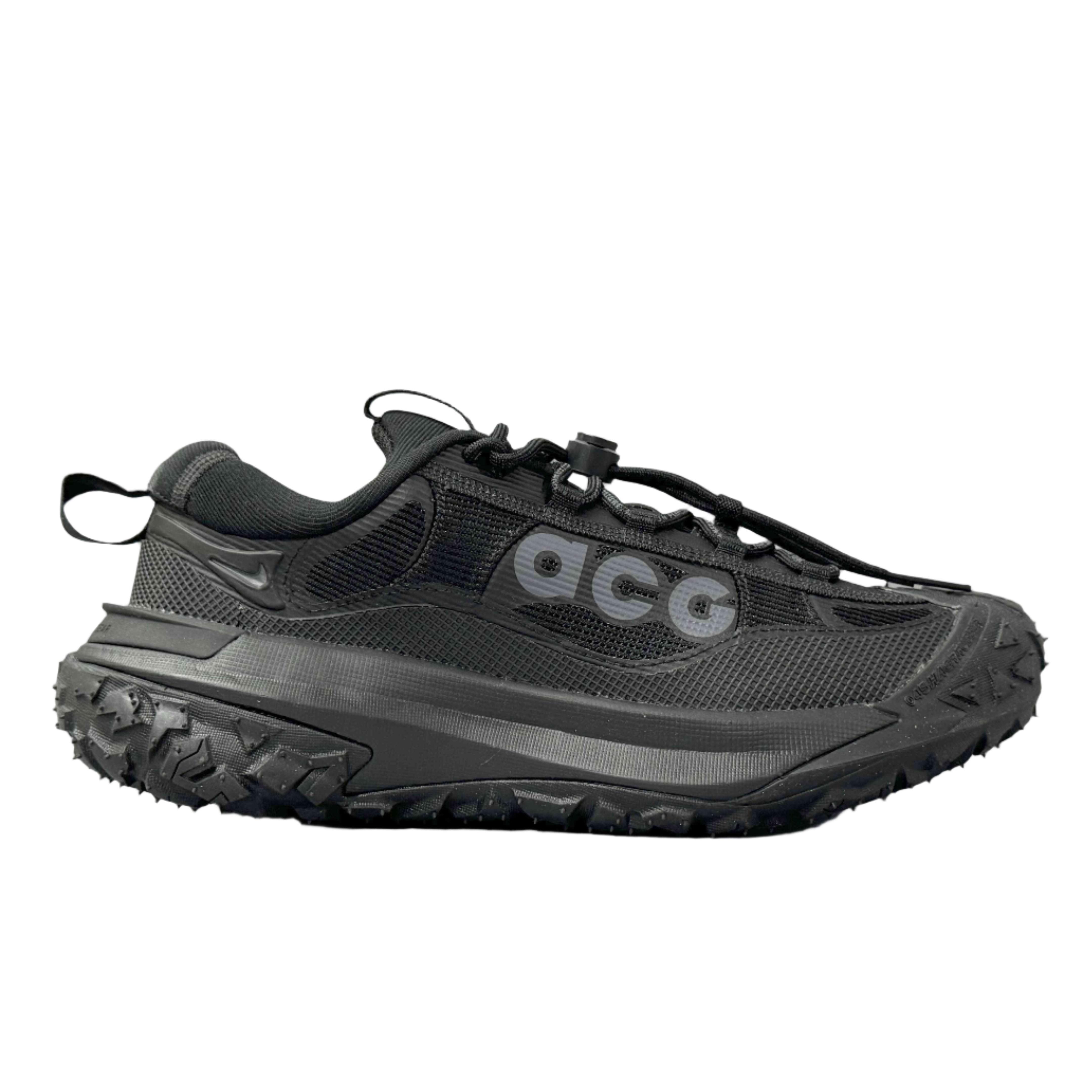 Nike ACG Mountain Fly 2 'Gore-Tex SE 'Dark Smoke Grey'