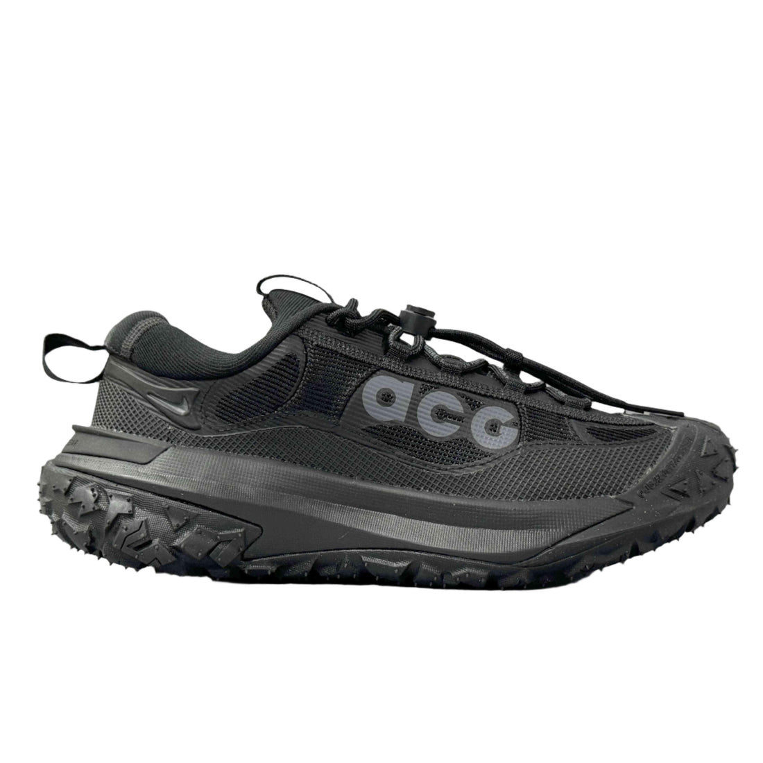 Nike ACG Mountain Fly 2 'Gore-Tex SE 'Dark Smoke Grey'