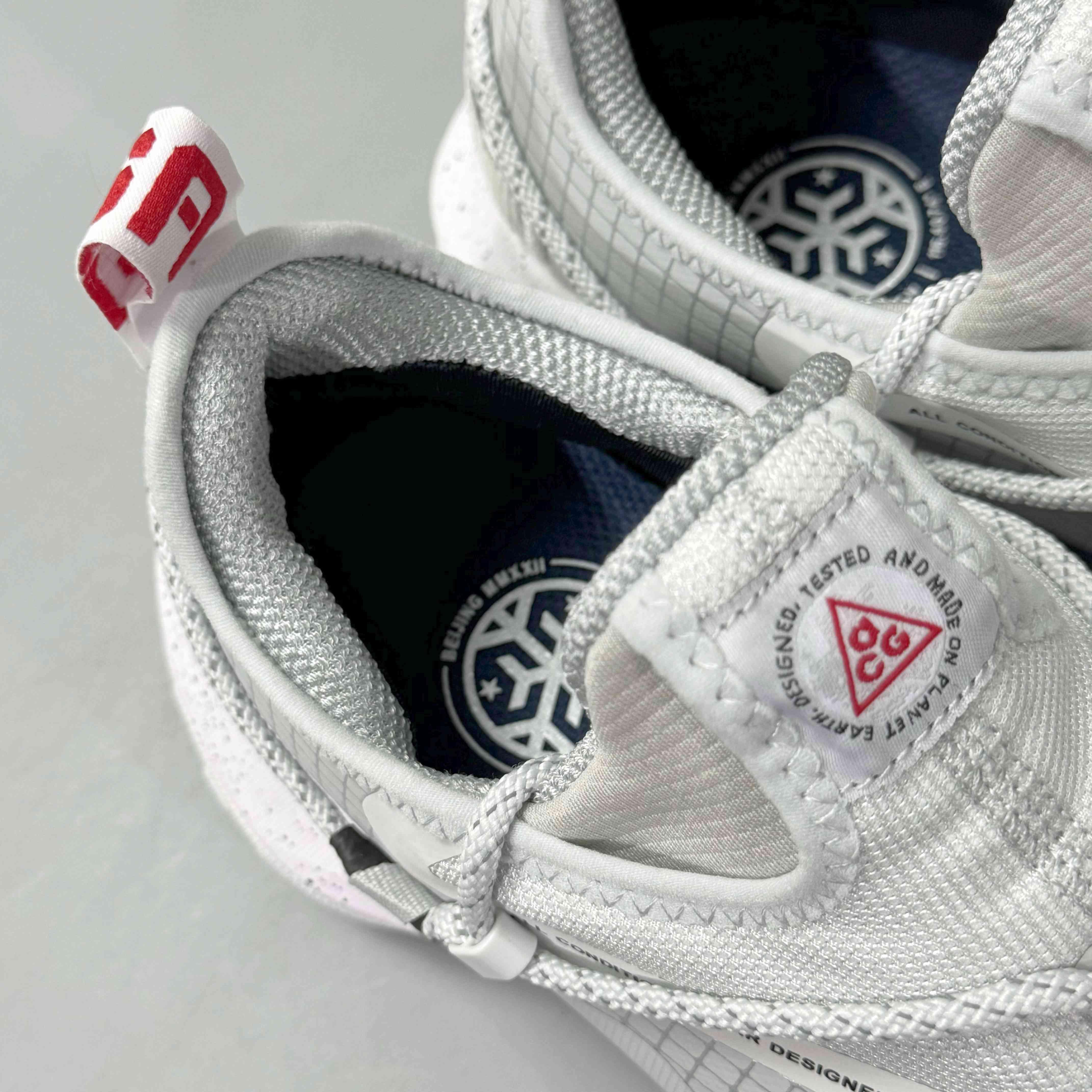 Nike ACG Mountain Fly Low Gore-Tex SE 'Team USA'