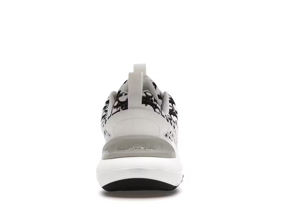 Dior B24 Oblique
