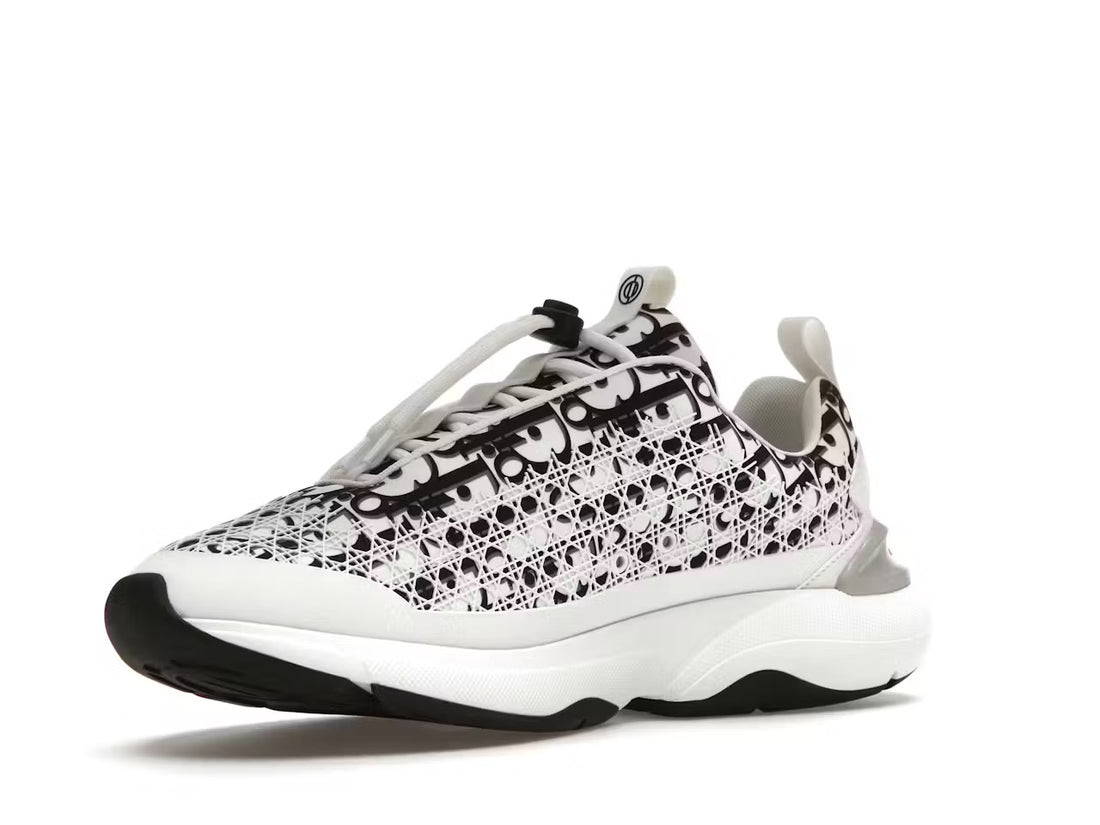 Dior B24 Oblique