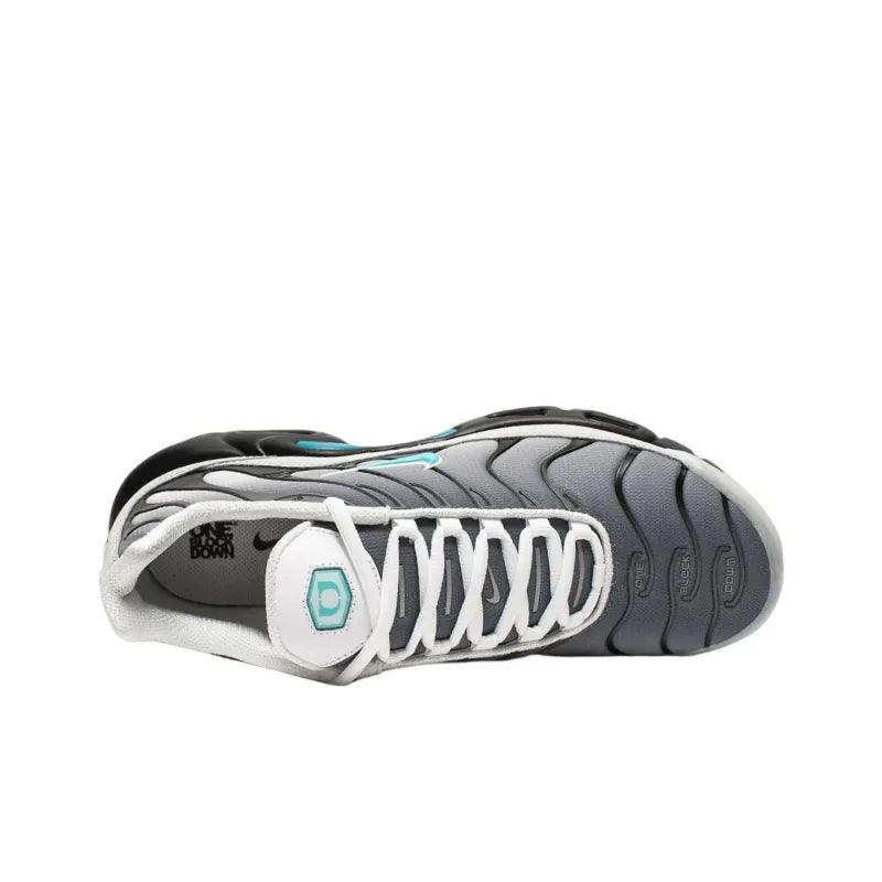 Nike Air Max Plus 'One Block Down Matte Silver'