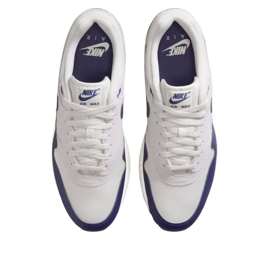 Nike Air Max 1 'Phantom Sanded Purple' FZ5808-017
