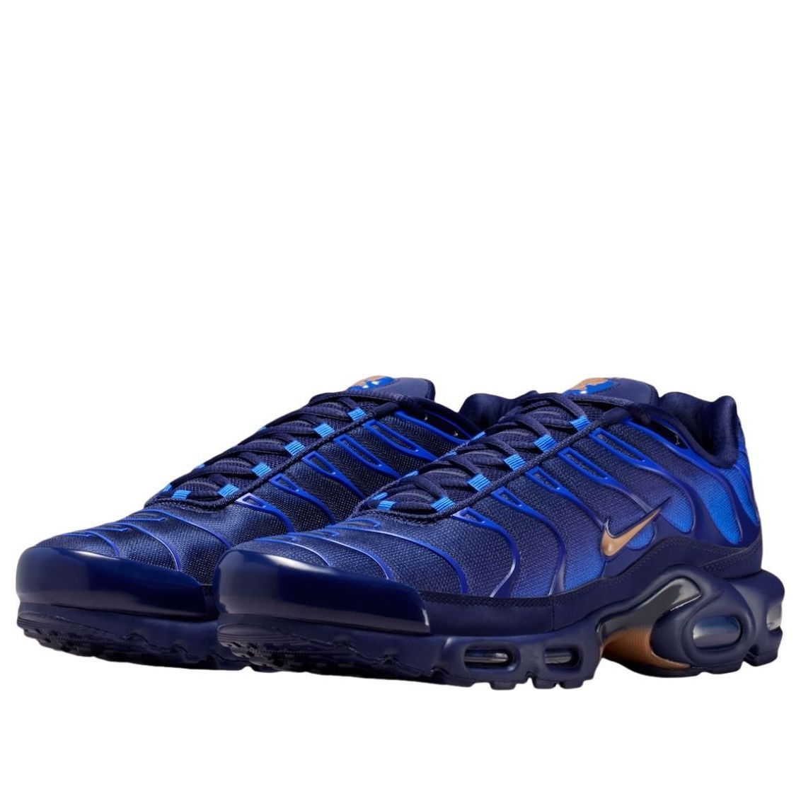 Nike Air Max Plus 'French Football Federation' IQ0170-400