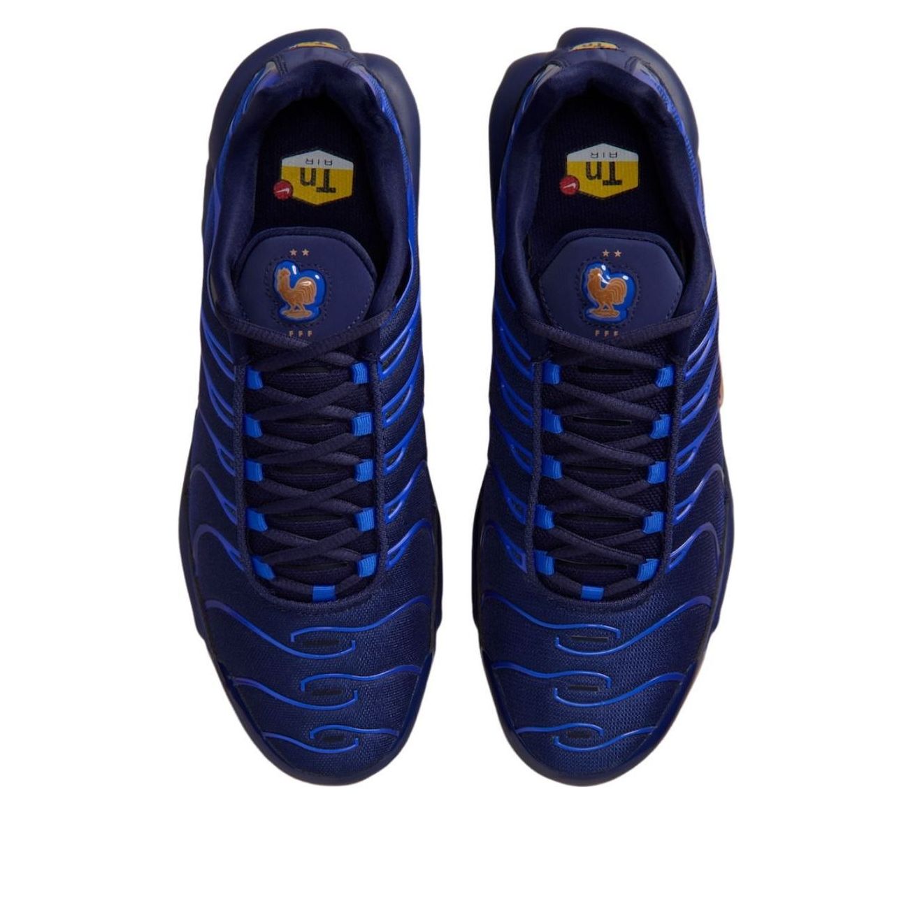 Nike Air Max Plus 'French Football Federation' IQ0170-400