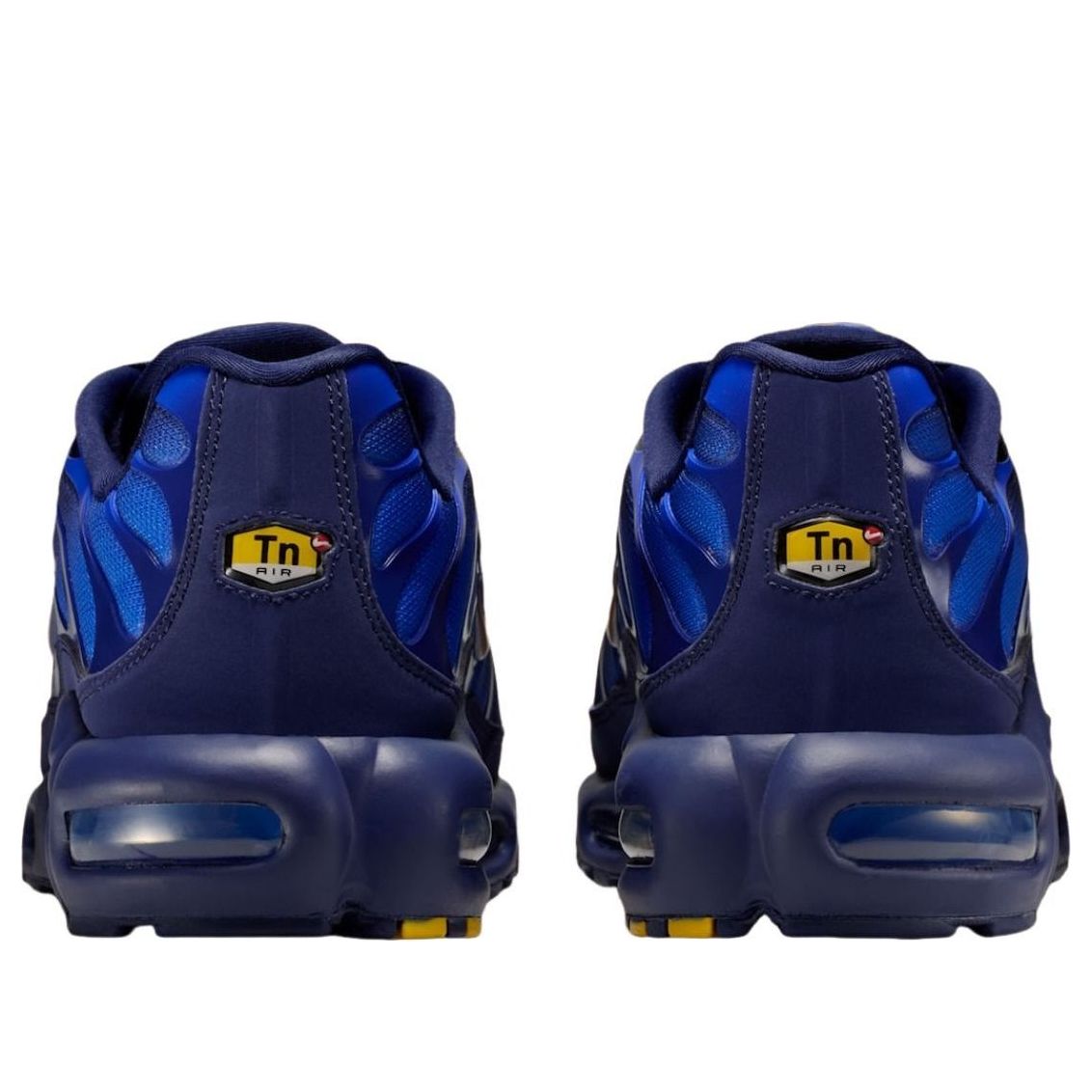 Nike Air Max Plus 'French Football Federation' IQ0170-400