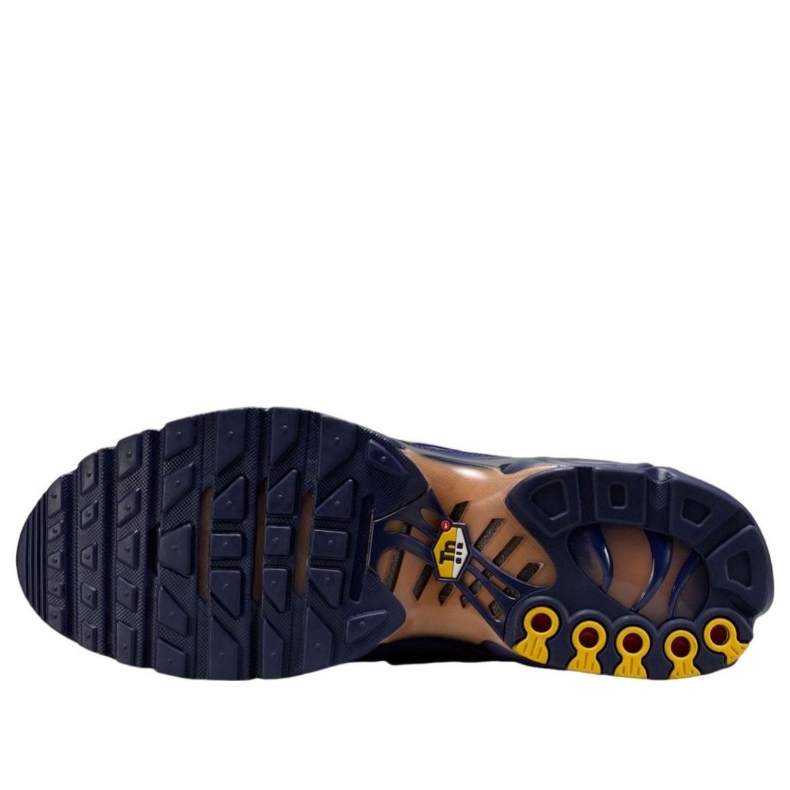 Nike Air Max Plus 'French Football Federation' IQ0170-400