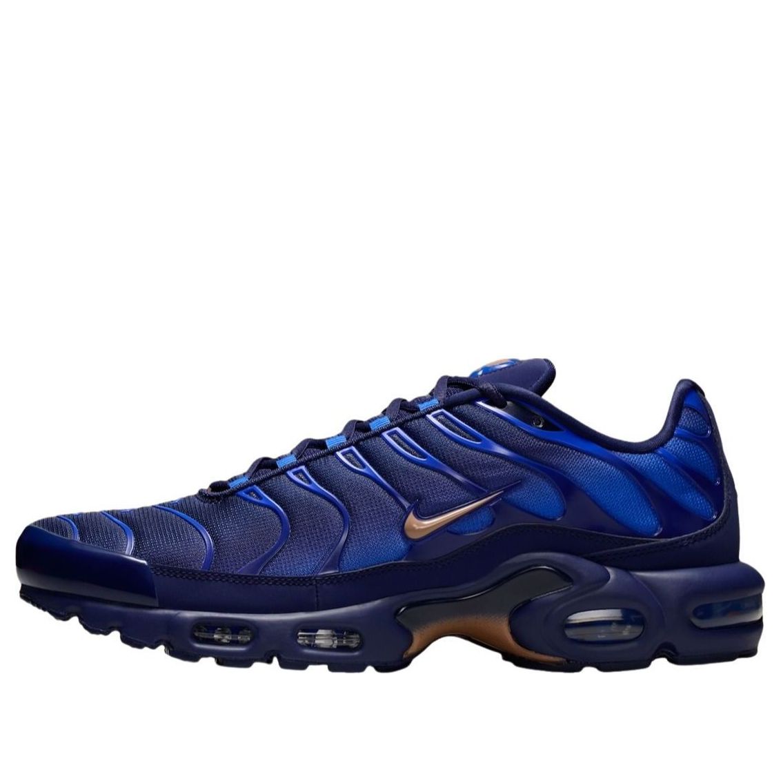 Nike Air Max Plus 'French Football Federation' IQ0170-400