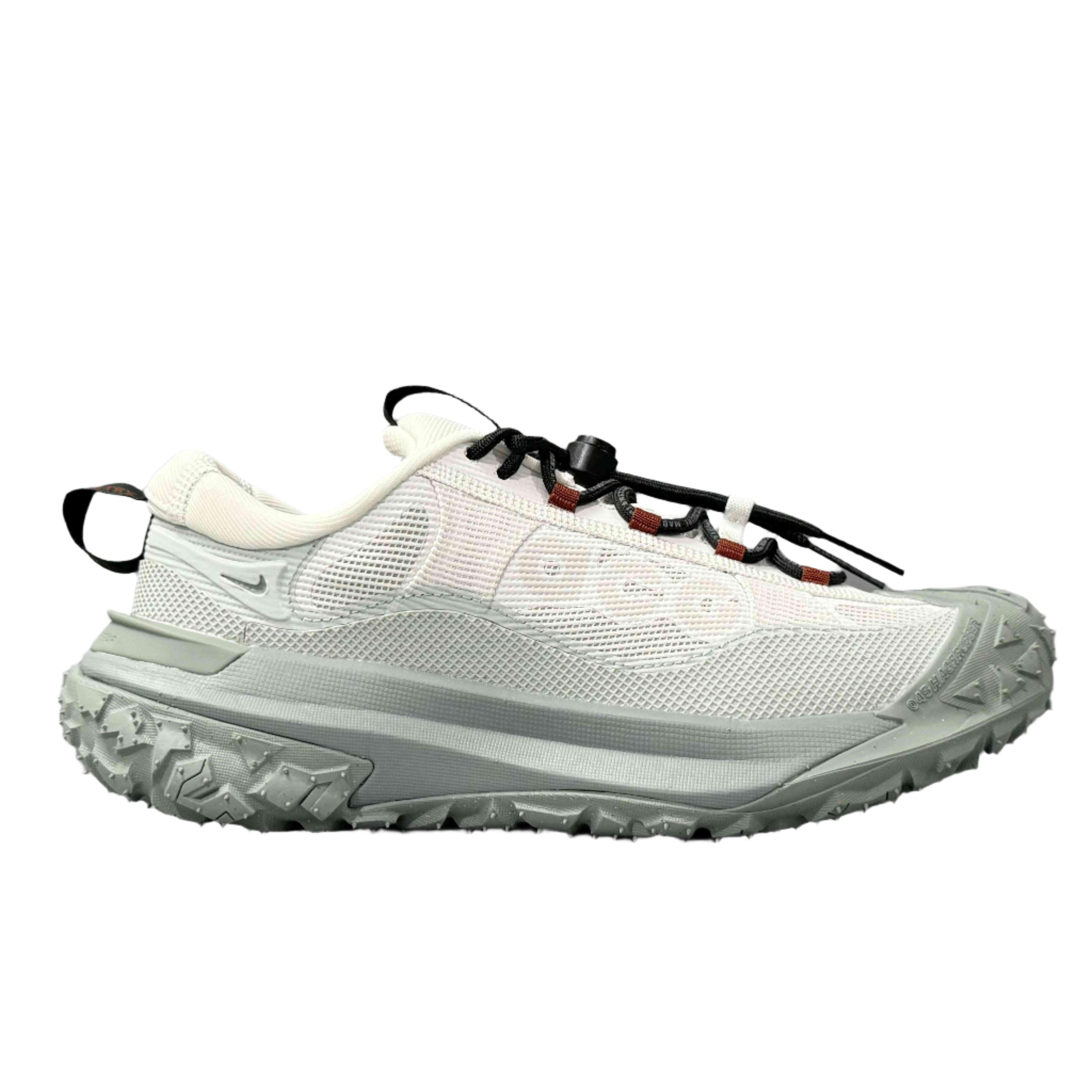 Nike ACG Mountain Fly 2 Low Gore-Tex 'Phantom Light Silver'