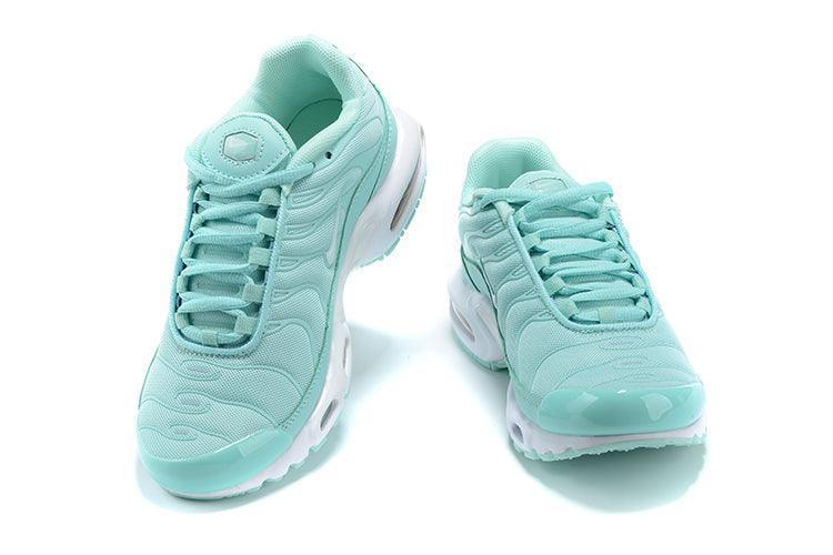 Nike Air Max Plus 'Igloo'