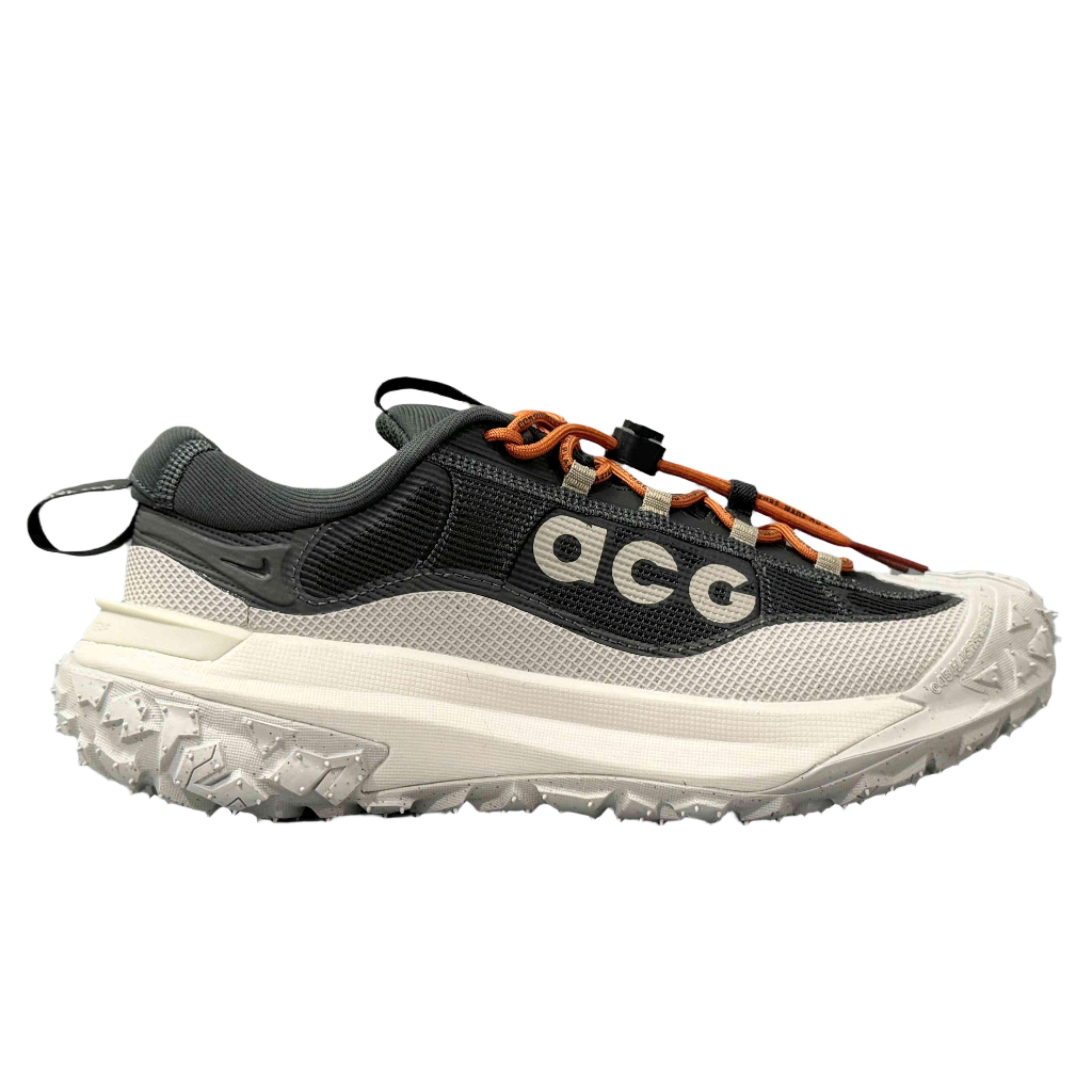 Nike ACG Mountain Fly 2 Low Gore-Tex 'Dark Smoke Grey'