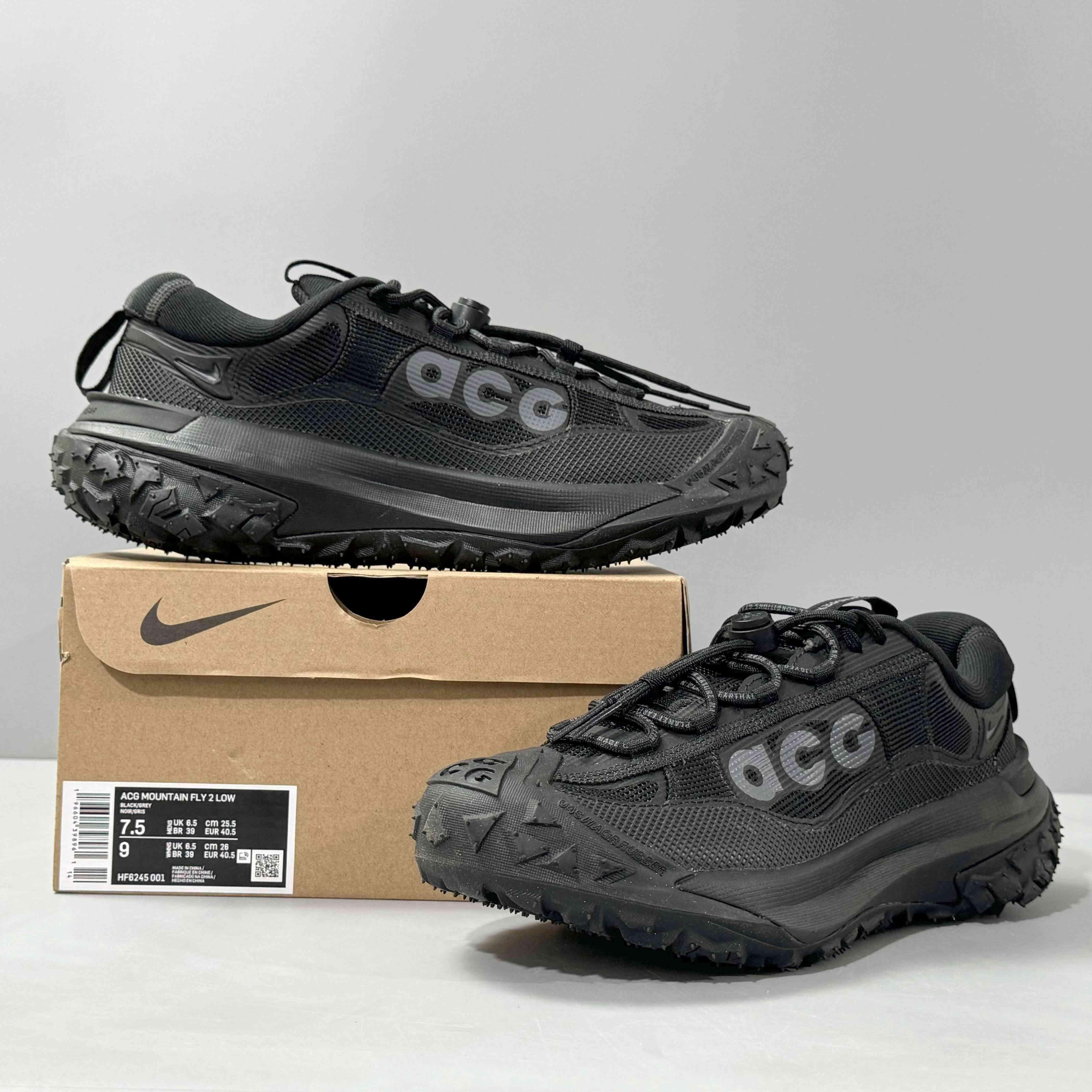 Nike ACG Mountain Fly 2 'Gore-Tex SE 'Dark Smoke Grey'