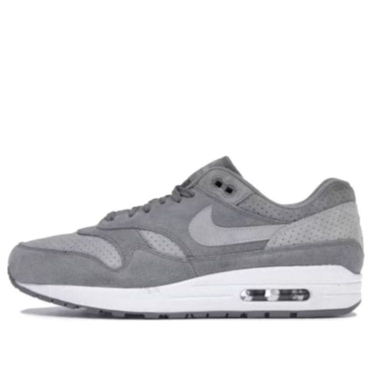 Nike Air Max 1 'Cool Grey Wolf Grey' 875844-005