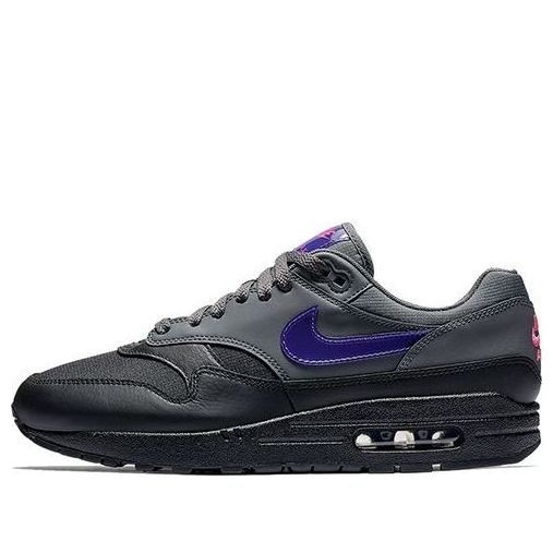 Nike Air Max 1 'Fierce Purple' AR1249-002