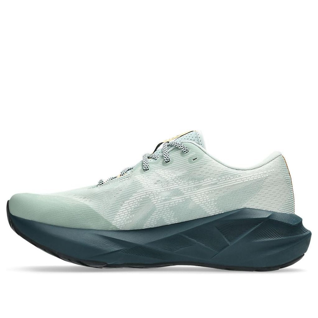 ASICS Novablast 5 TR 'Nature Bathing Lichen Rock' 1011C138-300