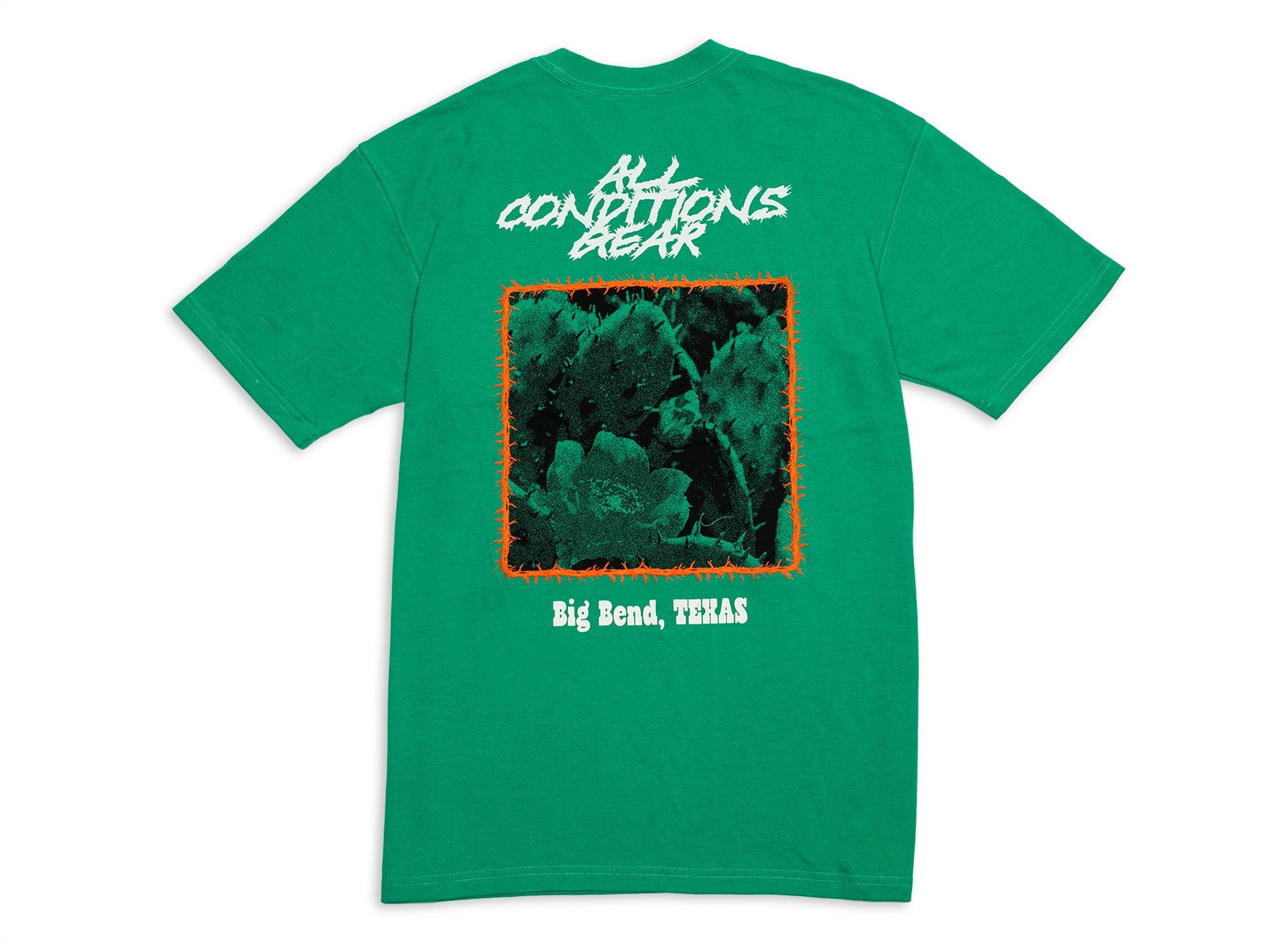 Nike ACG OC Cactus Tee