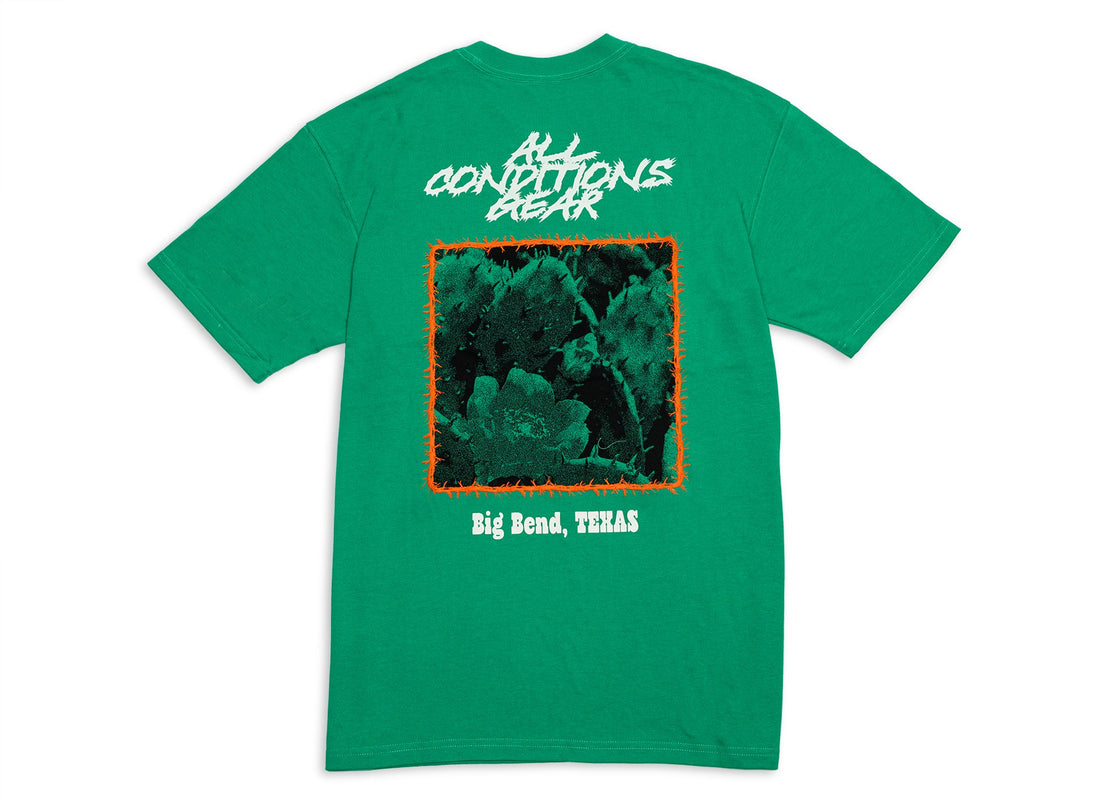 Nike ACG OC Cactus Tee