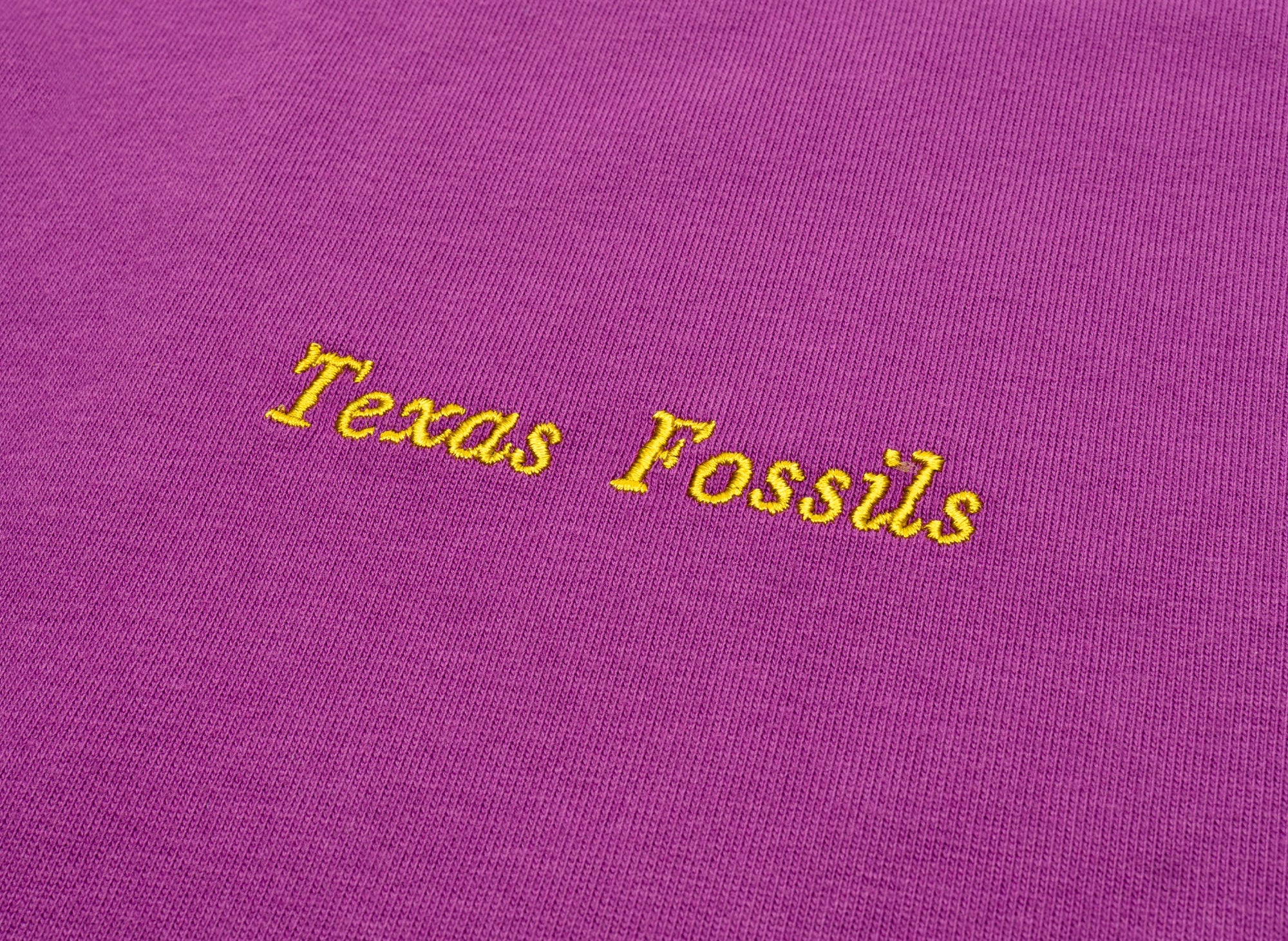 Nike ACG OC Fossils Tee