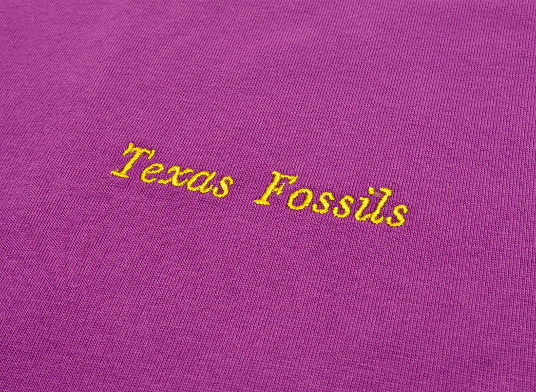 Nike ACG OC Fossils Tee