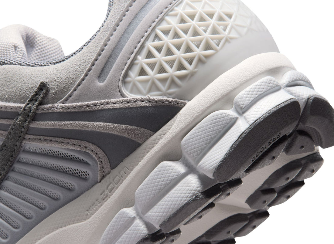 Nike Zoom Vomero 5 SE Los SD in Pure Platinum / Cool Grey