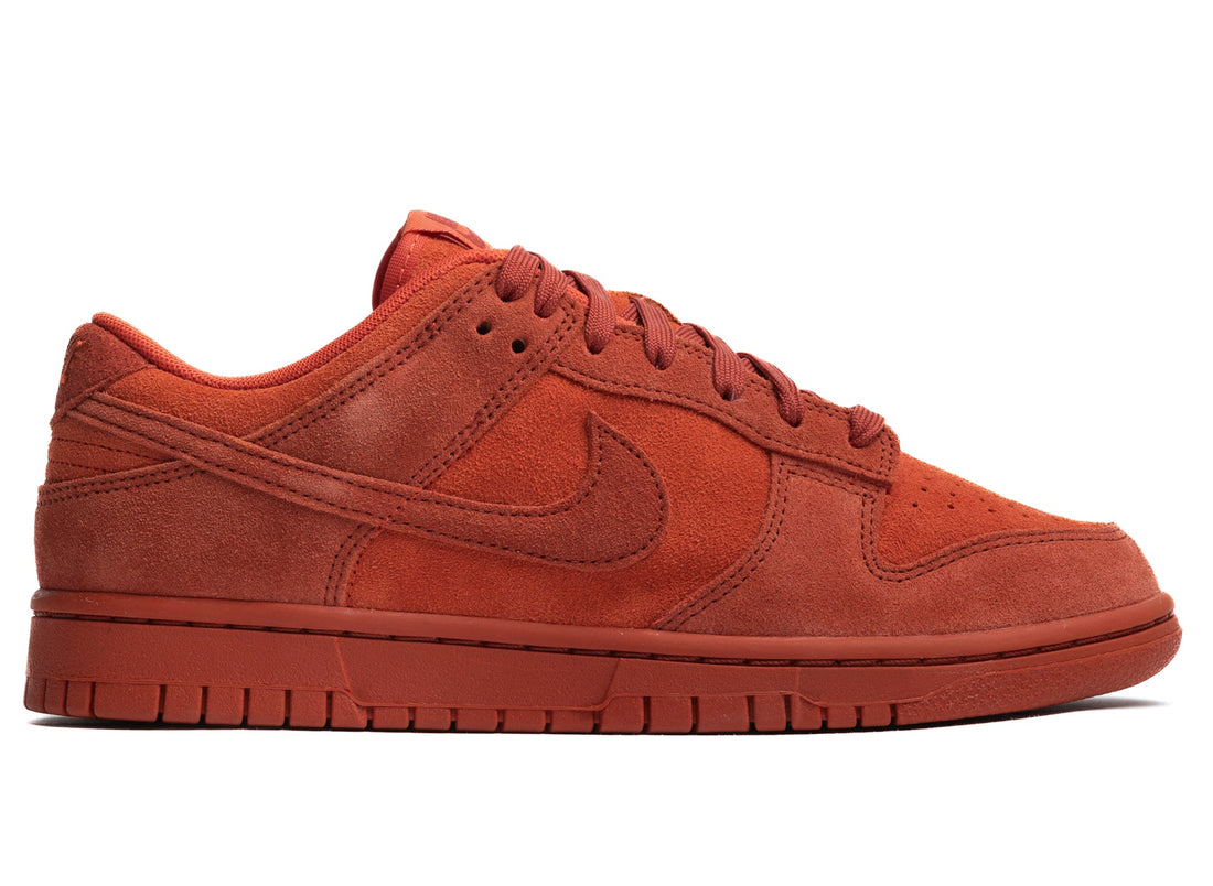Women's Nike Dunk Low SE