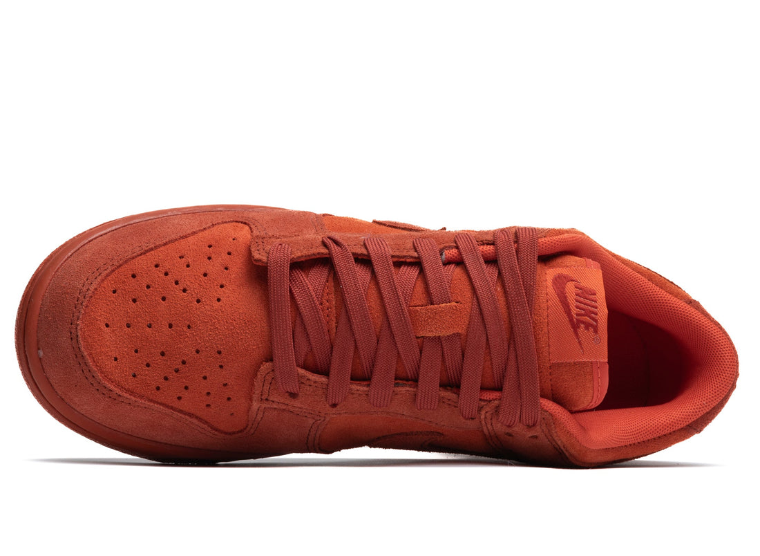 Women's Nike Dunk Low SE